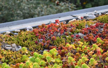 the cost of Brixton green roof installation