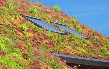 Brixton living roof systems