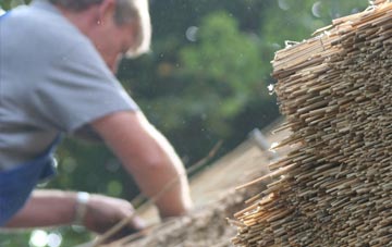 professional Brixton thatchers