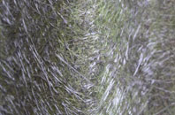 Brixton fibreglass roof work